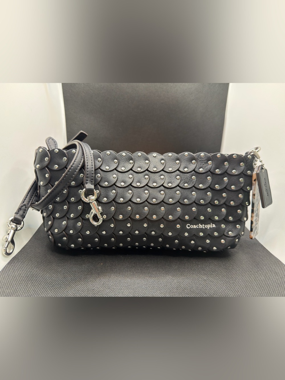 Coach Coachtopia Alter Ego Links Shoulder Bag Clutch Purse
